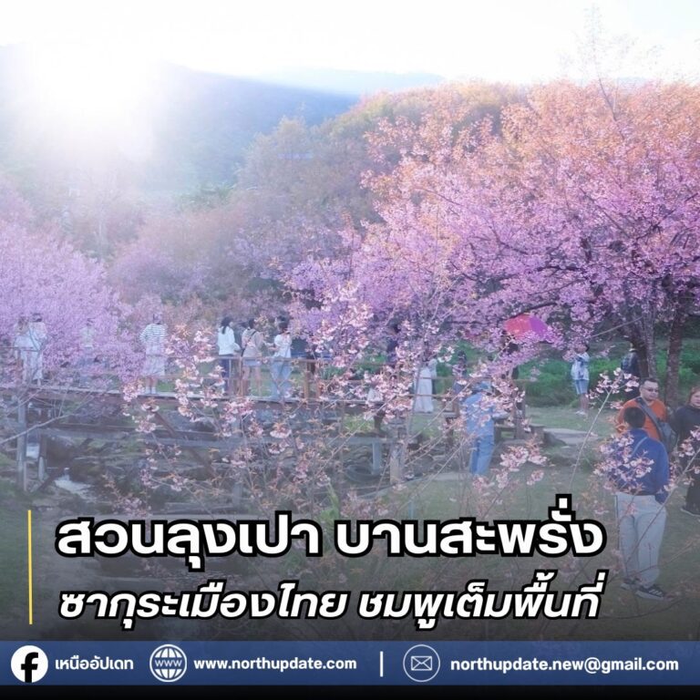 สำเนาของ เทมเพลสข่าวทั่วไป 2