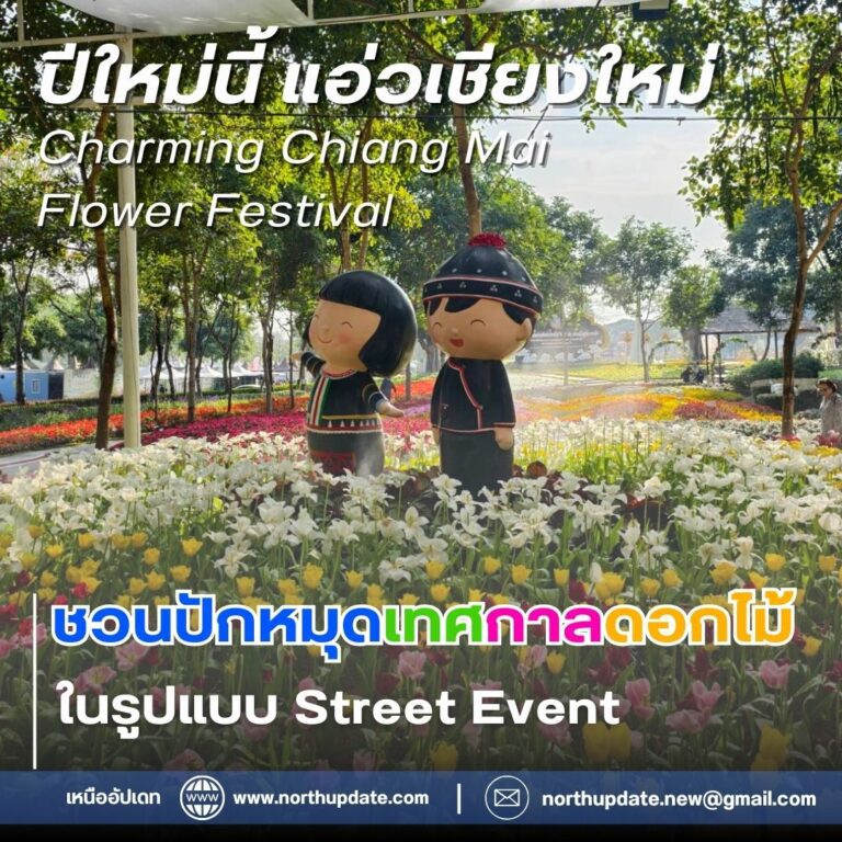 เหนือ 11