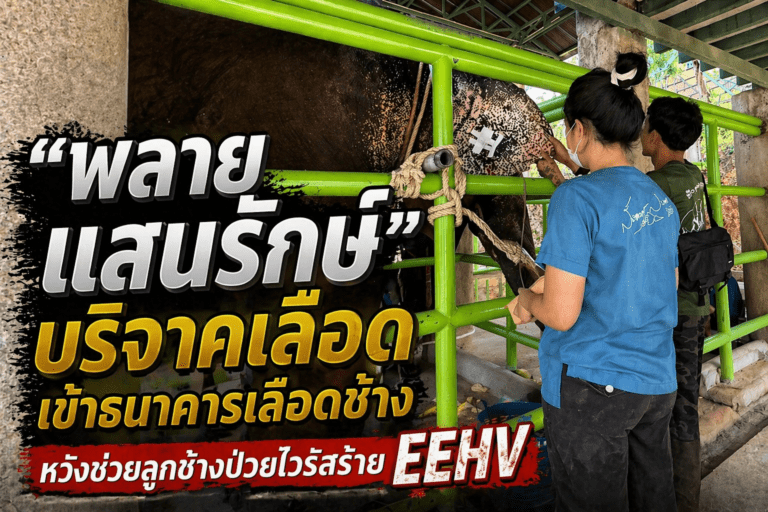 Image 22 เม.ย. 2569 09_16_22