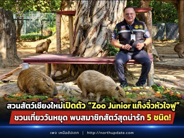ปก